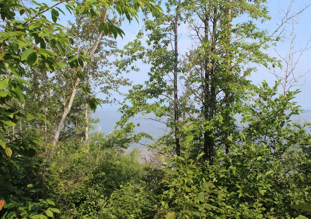 1st image of Lot 1 E Camp Amnicon Rd, South Range, WI 54874 | MLS# 6683719
