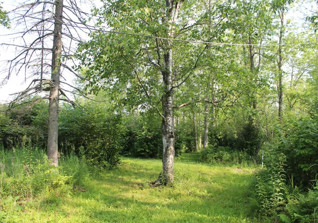 2nd image of Lot 1 E Camp Amnicon Rd, South Range, WI 54874 | MLS# 6683719