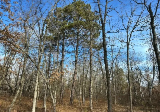 4th image of Tbd Wildwood Ave, Nevis, MN 56467 | MLS# 6684691
