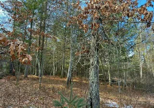 5th image of Tbd Wildwood Ave, Nevis, MN 56467 | MLS# 6684691
