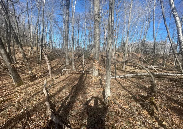 5th image of Lots 129-131 Ski Chalet Dr, Pequot Lakes, MN 56472 | MLS# 6685314