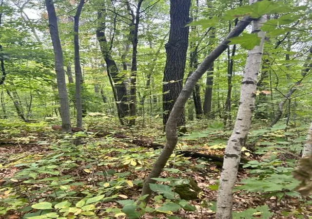 1st image of Xxx Lake Camile/lost Lake, Randall, MN 56475 | MLS# 6685646