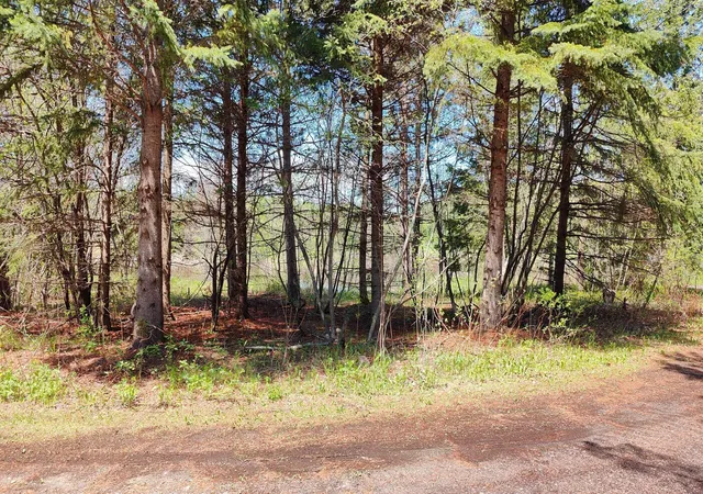 3rd image of 80086 Gruban Circle, Tower, MN 55790 | MLS# 6685734