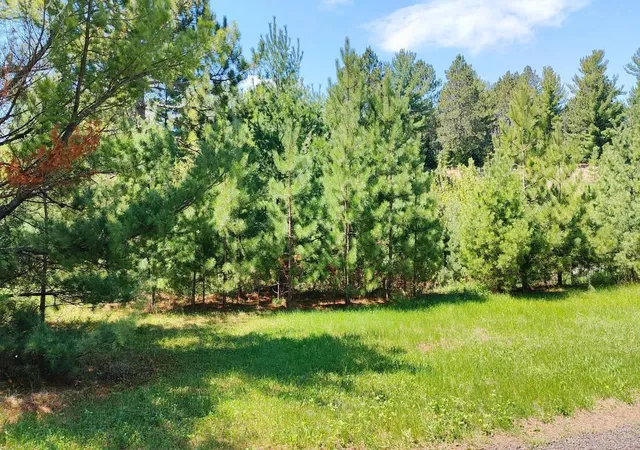 4th image of 88034 Sweet Fern Loop, Tower, MN 55790 | MLS# 6685739
