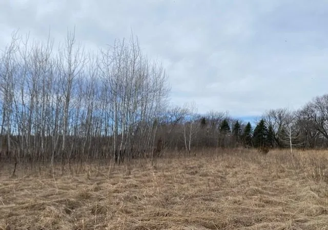 51st image of Xxx2 Csah 39, Monticello, MN 55362 | MLS# 6686264