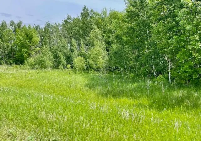 2nd image of T134 R37 Sec30 / Hwy 67 Hwy 67, Henning, MN 56551 | MLS# 6687043
