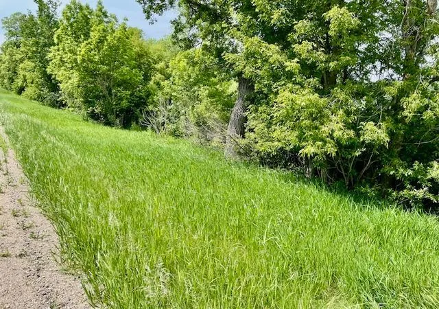 33rd image of T134 R37 Sec30 / Hwy 67 Hwy 67, Henning, MN 56551 | MLS# 6687043