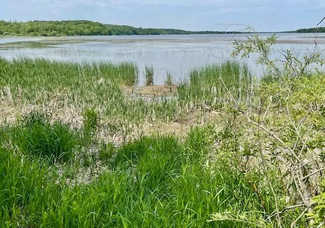Photo 4 of Land for sale at T134-r37 Sec30 / Hwy 67, Henning, MN 56551 | MLS# 6687043 | Listing updated on 2026-05-26