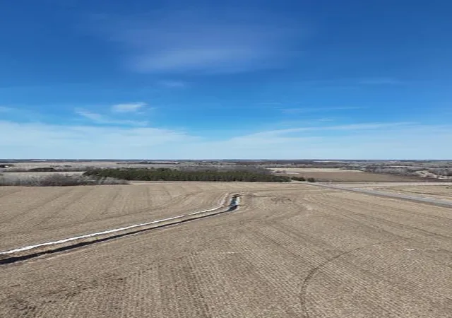 Homes for sale in Browerville, MN | Tbd County 61, Browerville, MN 56438 | MLS# 6695793