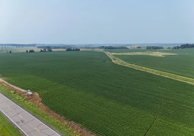 Homes for sale in Browerville, MN | Tbd County 61, Browerville, MN 56438 | MLS# 6695793