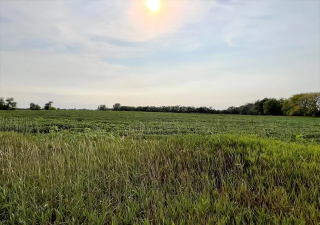 1st image of Xxxxx Jeffrey Ave N   Parcel B, Hugo, MN 55038 | MLS# 6696708