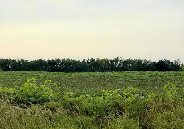 2nd image of Xxxxx Jeffrey Ave N   Parcel B, Hugo, MN 55038 | MLS# 6696708