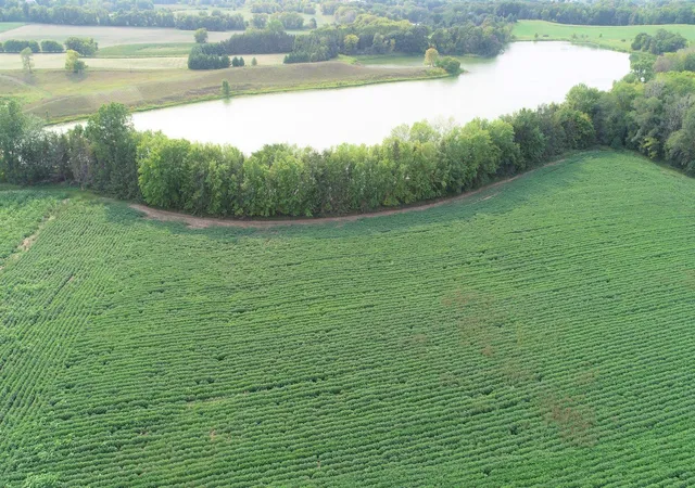 Photo 3 of Land for sale at Xxxxx Jeffrey Ave N - Parcel B, Hugo, MN 55038 | MLS# 6696708 | Listing updated on 2026-06-19
