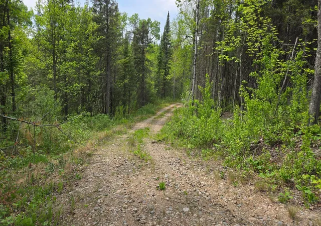 3rd image of 7316 Crane Lake Rd, Crane Lake, MN 55725 | MLS# 6705324