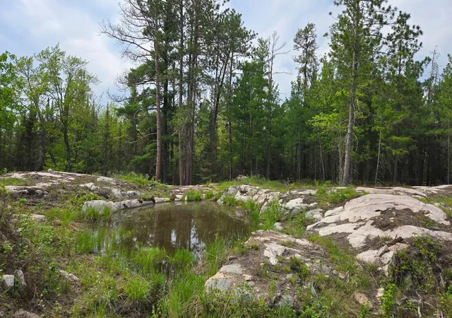 4th image of 7316 Crane Lake Rd, Crane Lake, MN 55725 | MLS# 6705324