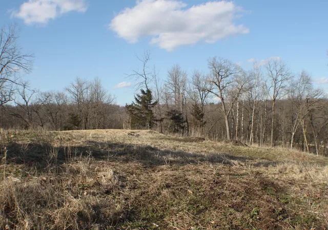 Homes for sale in Oronoco, MN | Xxxxb Kings Park Rd Nw, Oronoco, MN 55960 | MLS# 6707240