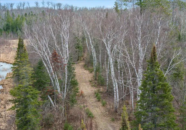 4th image of Tbd 640Th Ln, Jacobson, MN 55752 | MLS# 6708780
