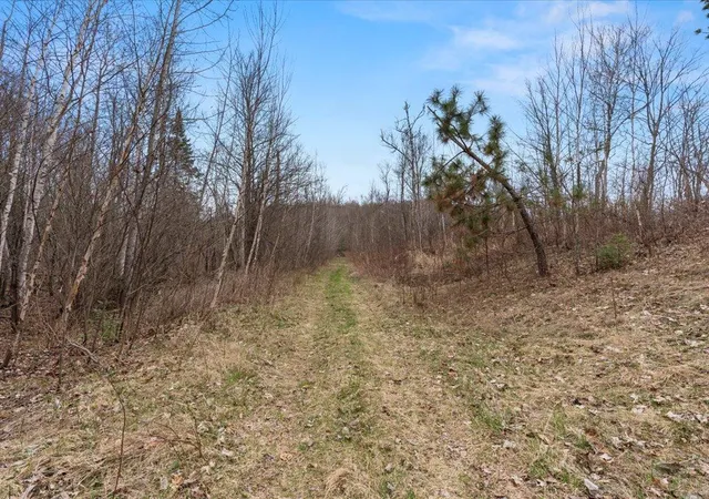 56th image of Tbd 640th Ln, Jacobson, MN 55752 | MLS# 6708780