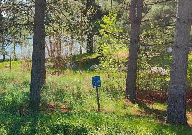 1st image of 80075 Lake Of Vermilion Road, Tower, MN 55790 | MLS# 6708807