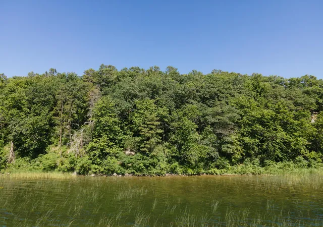 Homes for sale in Walker, MN | Tbd Lot D Ann Marie Ln Nw, Walker, MN 56484 | MLS# 6709122