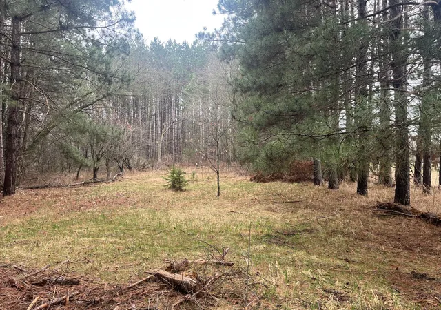 1st image of Xxxxx Old 67 Road, Henning, MN 56551 | MLS# 6711189