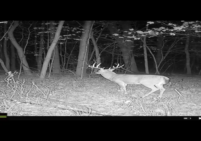 2nd image of Xx1 County Road 3, Holdingford, MN 56340 | MLS# 6711932
