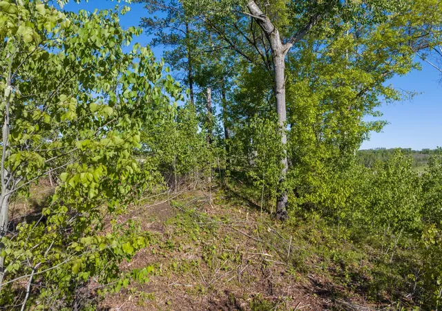 5th image of Craguns Legacy Rdg Lot 6 16288 Tom Lehman Dr, Brainerd, MN 56401 | MLS# 6713620