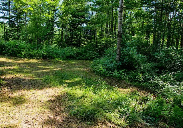 Homes for sale in Couderay, WI | Lot 1 State Road 27/70, Couderay, WI 54828 | MLS# 6716005