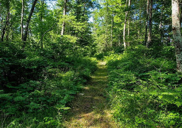 Homes for sale in Couderay, WI | Lot 2 State Road 27/70, Couderay, WI 54828 | MLS# 6716093