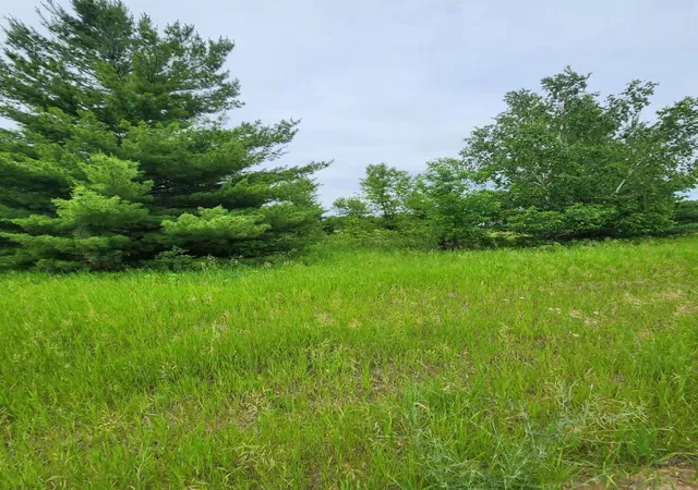 1st image of 000 392nd Street, Browerville, MN 56438 | MLS# 6717425