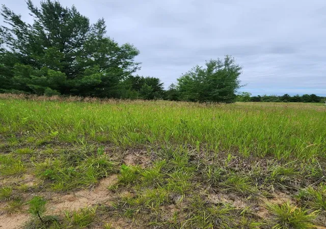 9th image of 000 392nd Street, Browerville, MN 56438 | MLS# 6717425