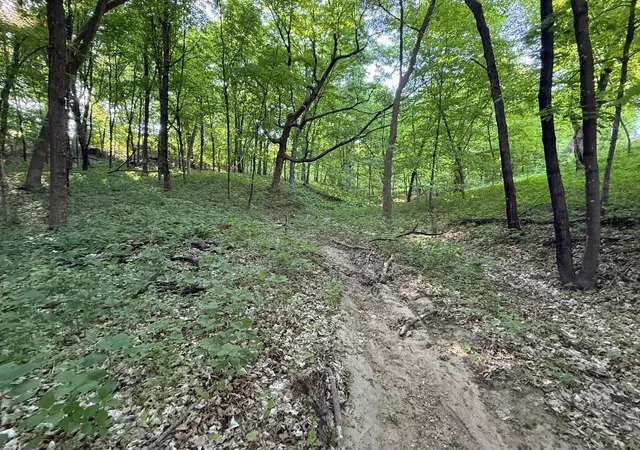 3rd image of Xxxx Jalger Ave Se, Buffalo, MN 55313 | MLS# 6725262
