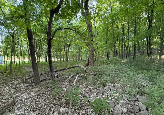4th image of Xxxx Jalger Ave Se, Buffalo, MN 55313 | MLS# 6725262