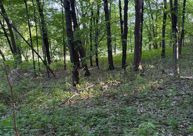 5th image of Xxxx Jalger Ave Se, Buffalo, MN 55313 | MLS# 6725262