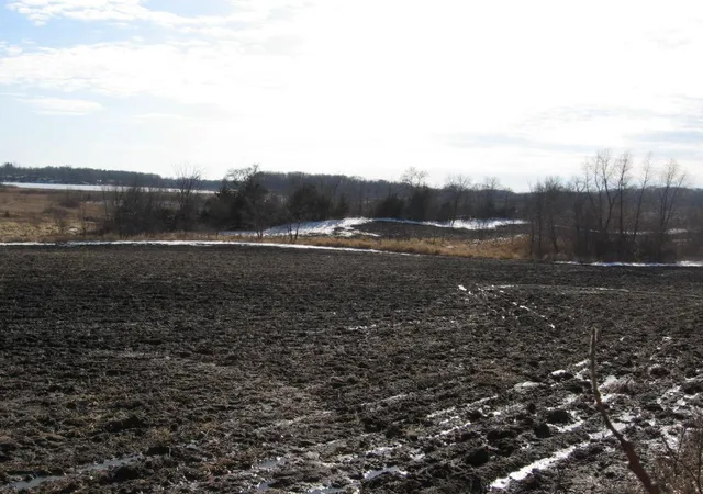 Photo 4 of Land for sale at 15Xxx Shieldsville Blvd, Faribault, MN 55021 | MLS# 6726721 | Listing updated on 2026-06-19