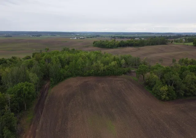 3rd image of Tbd 250Thn St E, Hampton, MN 55031 | MLS# 6728803