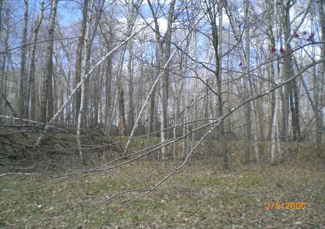 Photo 1 of Land for sale at Lot 211 Catskill Cir, Breezy Point, MN 56472 | MLS# 6731095 | Listing updated on 2026-06-19