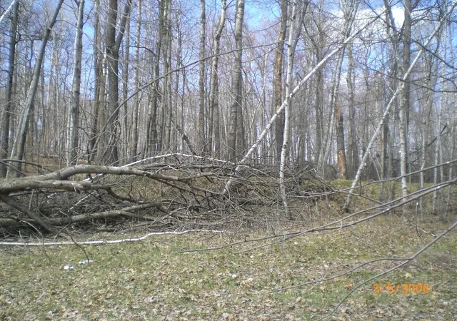 Photo 2 of Land for sale at Lot 211 Catskill Cir, Breezy Point, MN 56472 | MLS# 6731095 | Listing updated on 2026-06-19
