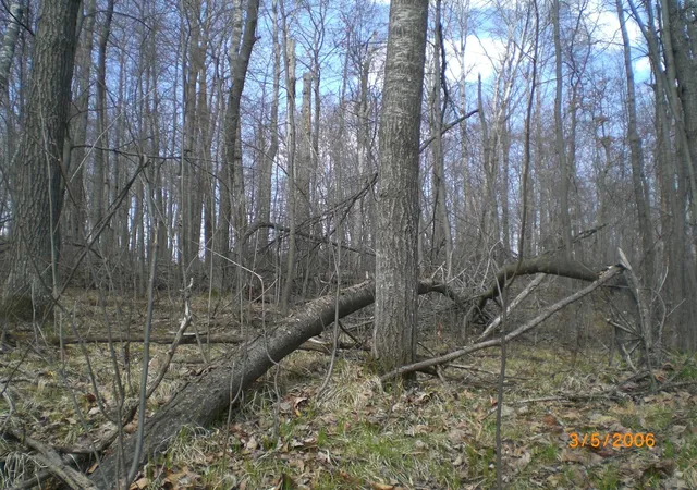 Photo 3 of Land for sale at Lot 211 Catskill Cir, Breezy Point, MN 56472 | MLS# 6731095 | Listing updated on 2026-06-19