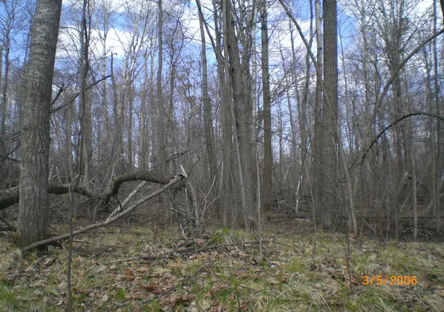 Photo 3 of Land for sale at Lot 211 Catskill Cir, Breezy Point, MN 56472 | MLS# 6731095 | Listing updated on 2026-06-19