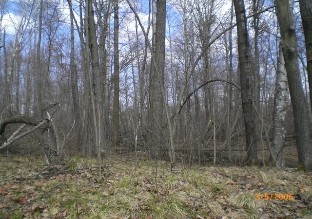 Photo 4 of Land for sale at Lot 211 Catskill Cir, Breezy Point, MN 56472 | MLS# 6731095 | Listing updated on 2026-06-19