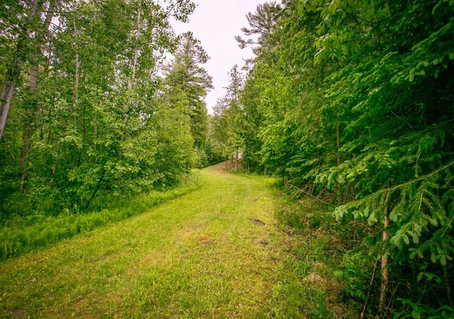 38th image of 10547 Vermeil Dr Ne, Deer River, MN 56636 | MLS# 6731978