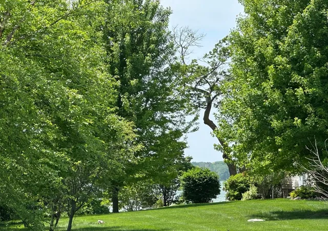 Photo 3 of Land for sale at 29172 Biehn Dr, Madison Lake, MN 56063 | MLS# 6733420 | Listing updated on 2026-06-19