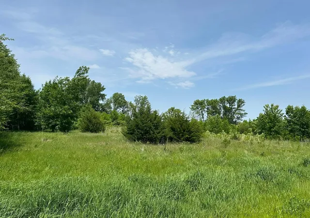 Homes for sale in Madison Lake, MN | 29036 Biehn Dr, Madison Lake, MN 56063 | MLS# 6733421