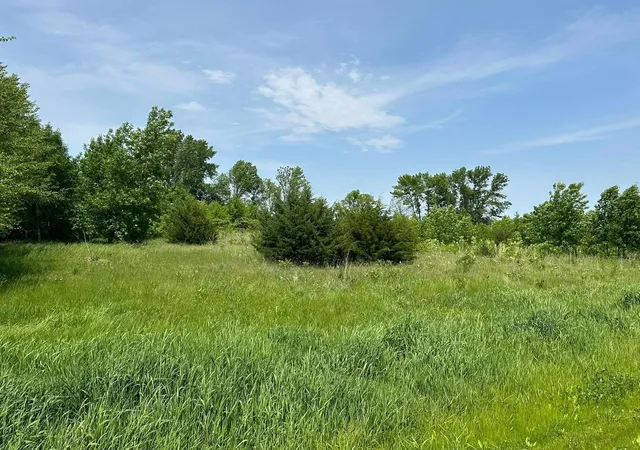 Photo 2 of Land for sale at 29036 Biehn Dr, Madison Lake, MN 56063 | MLS# 6733421 | Listing updated on 2026-06-19