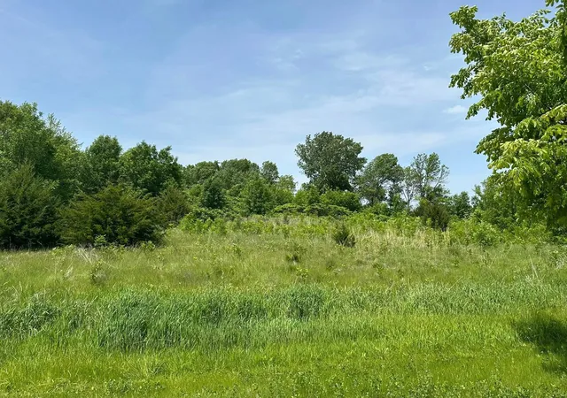 Photo 3 of Land for sale at 29036 Biehn Dr, Madison Lake, MN 56063 | MLS# 6733421 | Listing updated on 2026-06-19