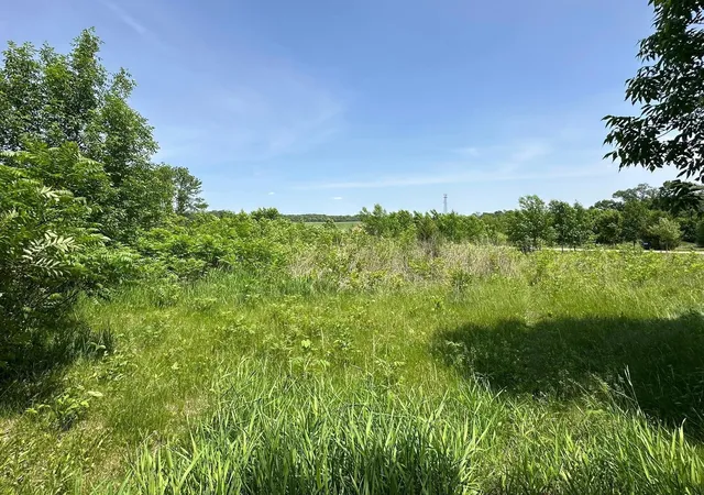 Photo 4 of Land for sale at 29036 Biehn Dr, Madison Lake, MN 56063 | MLS# 6733421 | Listing updated on 2026-06-19