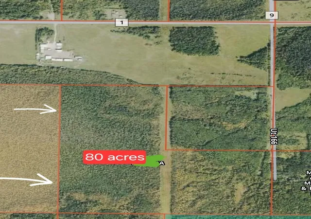 Homes for sale in Littlefork, MN | Tbd Town Road 166, Littlefork, MN 56653 | MLS# 6734834