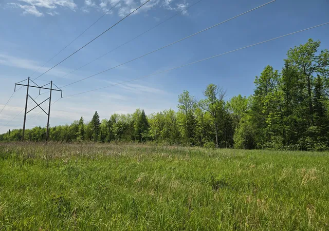Homes for sale in Littlefork, MN | Tbd Town Road 166, Littlefork, MN 56653 | MLS# 6734834