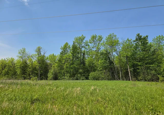 Homes for sale in Littlefork, MN | Tbd Town Road 166, Littlefork, MN 56653 | MLS# 6734834